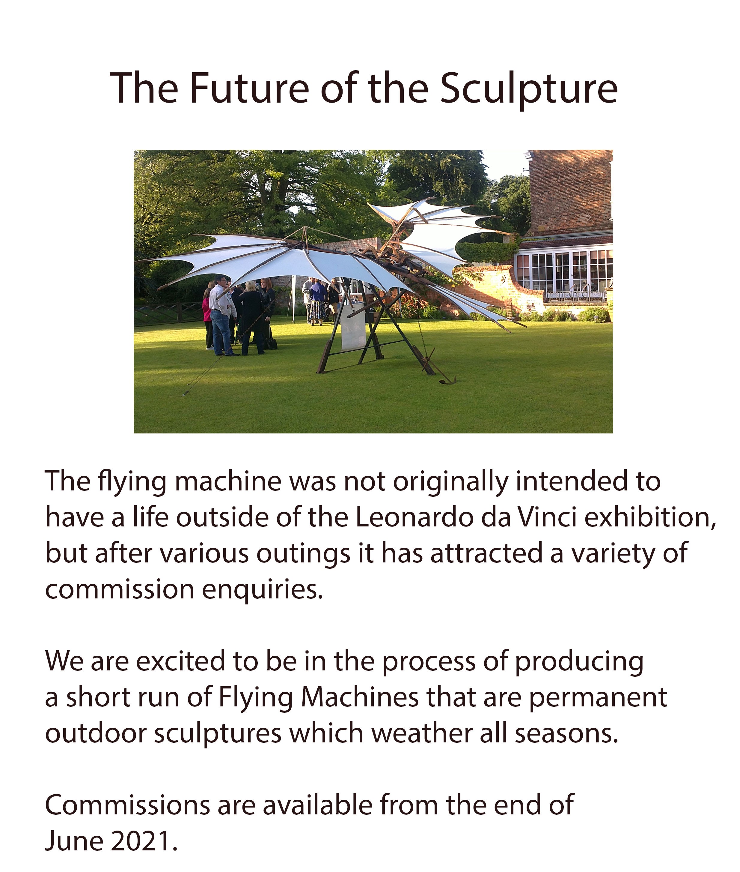 da vinci flying machine information3